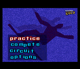 Winter Gold screenshot 5 for Super Nintendo